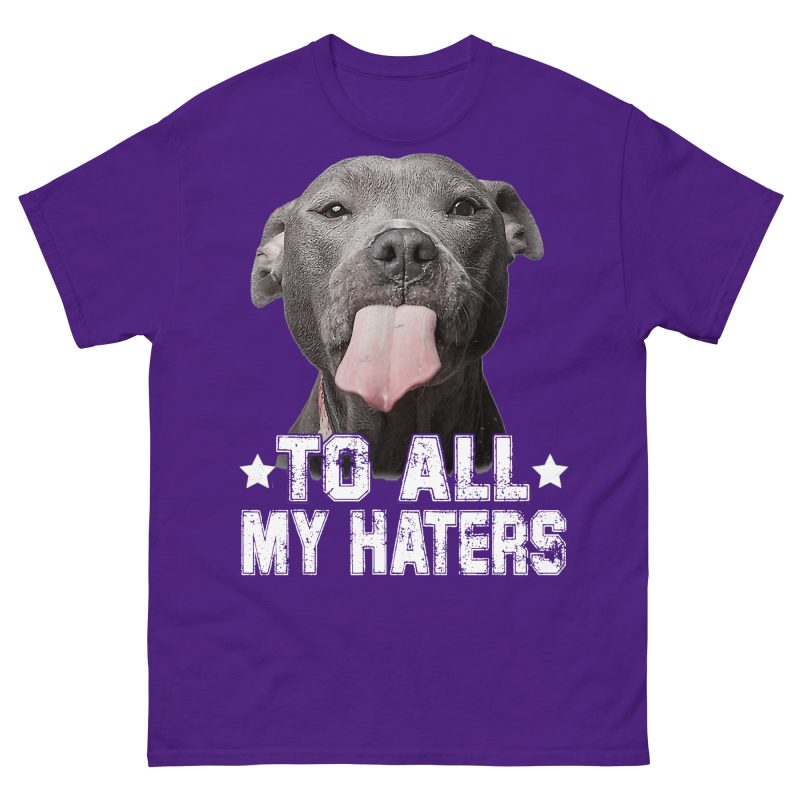 FUNNY - To All My Haters T-shirt - Bild 4
